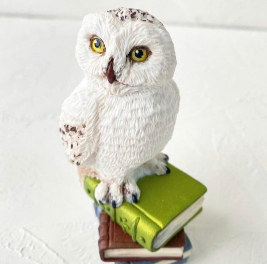 Silikonform Eule auf Büchern 30103