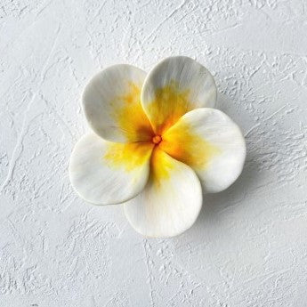 Silikonform Plumeria 30133